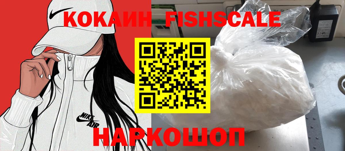 КОКАИН Fish Scale  COCAIN 97%  Вход с VPN  где можно купить   Богородицк 