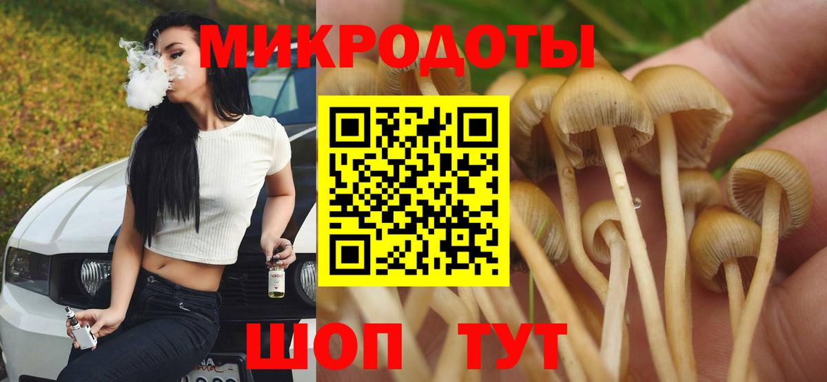 Галлюциногенные грибы GOLDEN TEACHER  Псилоцибиновые грибы MAGIC MUSHROOMS  Богородицк  Вход с VPN 